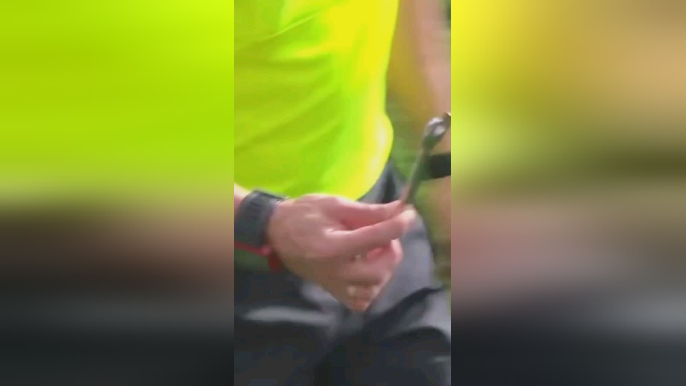 岁多特后